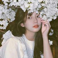 绿狐NPV加速器iOS版用户LISA,很满意绿狐NPV加速器iOS版